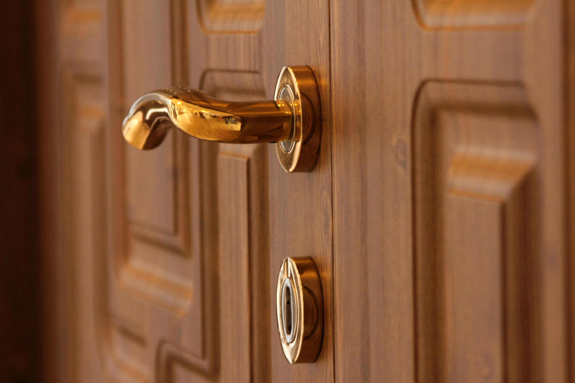 Close-up of a polished gold door handle and keyhole on a wooden door with a raised panel design.
